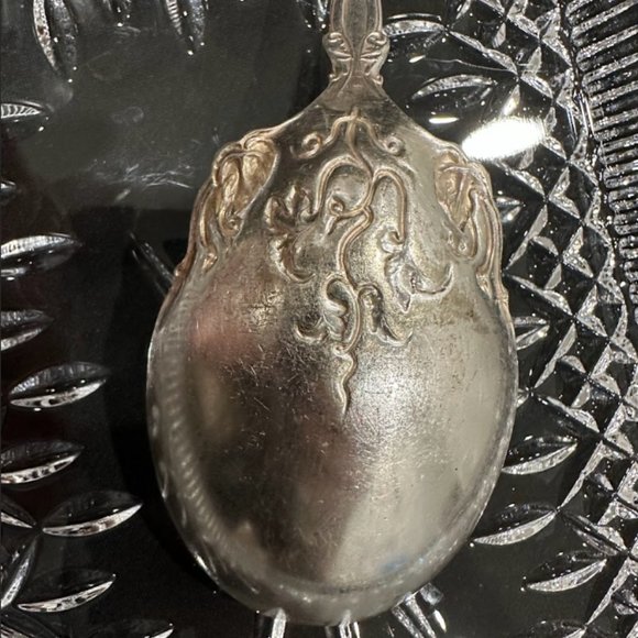RARE 1847 Rogers Bros Vintage Grapevine TRIPLE SILVER PLATED 9” Salad Spoon,88g - Picture 7 of 10